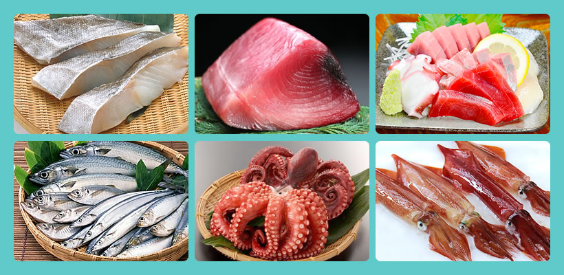 赤ちゃんへの魚介類食材【白身魚、赤身魚、青背魚、刺身、いか、たこ】