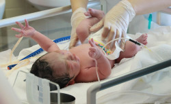 生後0ヶ月（新生児）の赤ちゃんの体