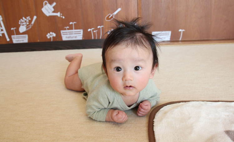 インク パーフェルビッド 泥棒 3 ヶ月 赤ちゃん 体重 Office Miyabi Jp